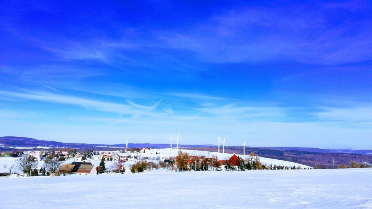 Urtica Apartmany Nova Ves v Horach المظهر الخارجي الصورة